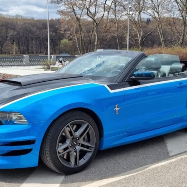 Ford Mustang BLUE roush